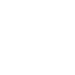 Alitas de Pollo BBQ